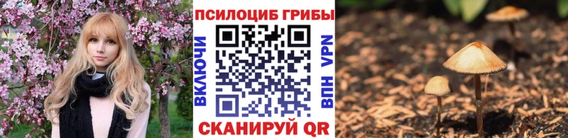 хочу наркоту  Ноябрьск  Псилоцибиновые грибы ЛСД 