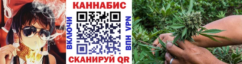 Бошки марихуана OG Kush  Ноябрьск 